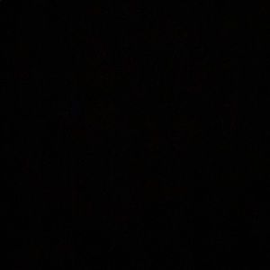 Meet your Posher, Carter